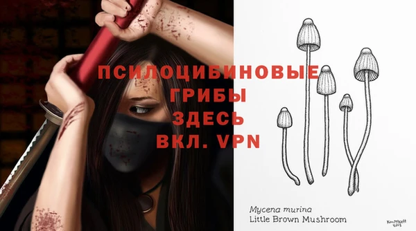 a pvp Липки